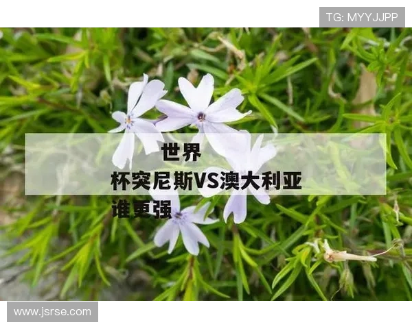 世界杯突尼斯日本比赛门票价格及售票时间详细介绍与购票建议 世界杯突尼斯日本比赛门票价格及售票时间详细介绍与购票建议